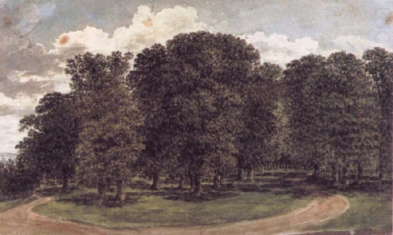 John glover The copse oil painting picture